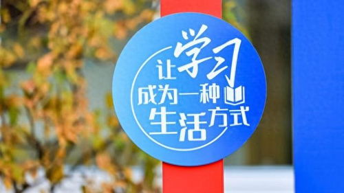 數(shù)字文化創(chuàng)意內(nèi)容應(yīng)用服務(wù) 徐匯打造開(kāi)放式學(xué)習(xí)空間，賦能家門口的美好教育